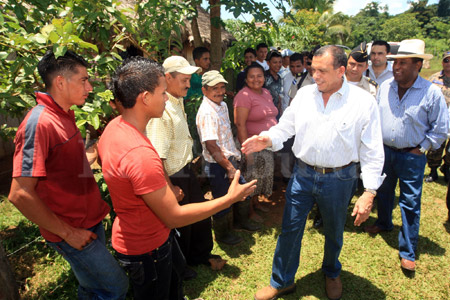 Honduras: Suiza hará millonaria inversión en plantaciones de girasoles