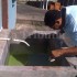 La limpieza de pilas y patios es muy importante para no infectarse de dengue.