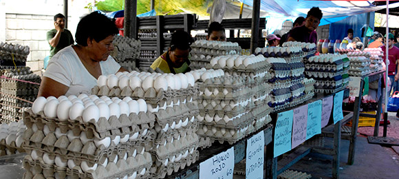 <p>Con excepción del huevo y los tomates, que registran un ligero incremento, además de la baja en la...&nbsp;<a href='http://www.latribuna.hn/2013/05/18/huevos-y-tomates-alzan-vuelo/'></a></p>http://www.latribuna.hn/wp-content/uploads/2013/05/VENTAS-DE-HUEVOS-1-580.jpg