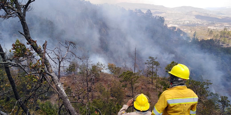 Evalúan contaminación por carbono en plena emergencia por COVID-19 en Honduras (Vídeo)