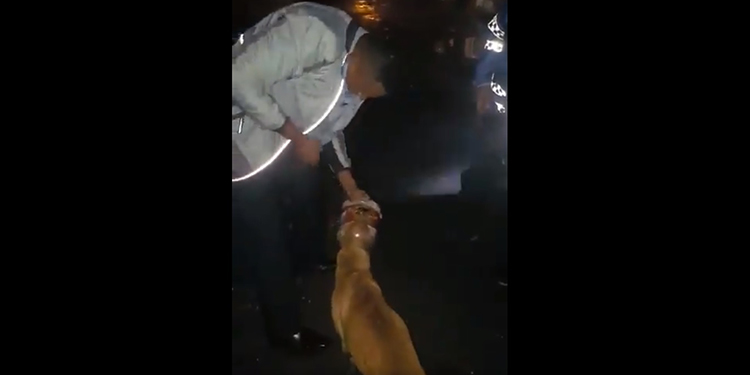 Policías auxilian a perrito en aprietos en un barrio ceibeño (Vídeo)