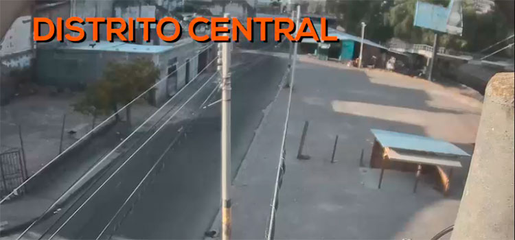 Mucha gente entiende que quedarse en casa asegura su vida y la de todos (Video/Galería)