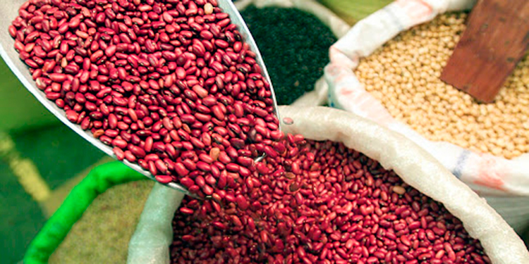 Gobierno prohíbe exportación de frijol rojo durante crisis sanitaria