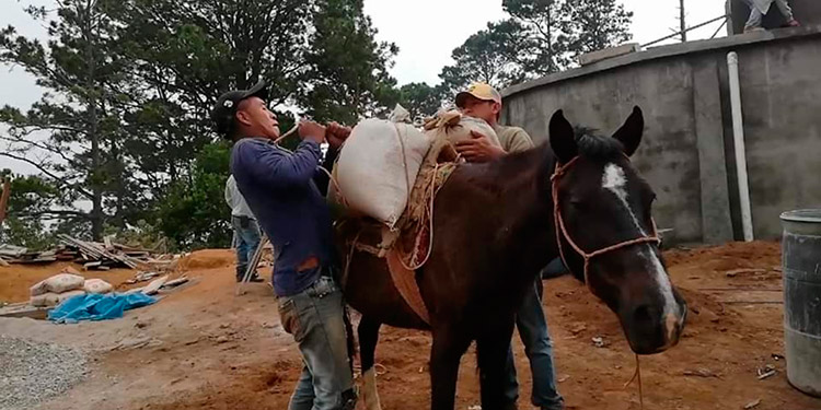 La Tribuna en la frontera: Municipios del sur de Lempira al desarrollo con nueva carretera