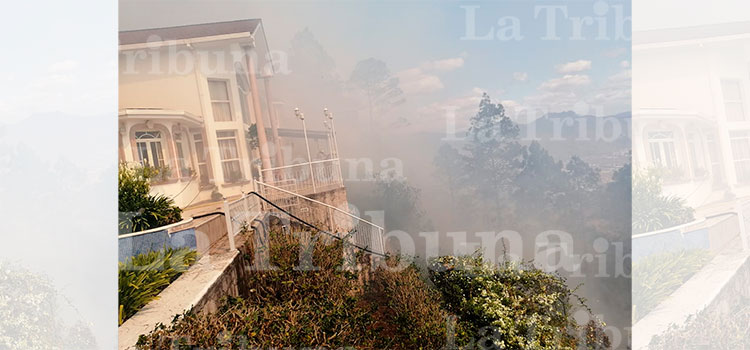 Cinco residencias de diplomáticos en riesgo por incendio forestal en El Hatillo (Video/Galería)