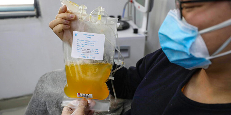 Estudian usar sangre de pacientes recuperados de coronavirus