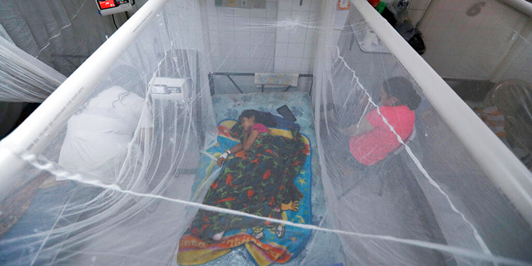 Reportan dos muertes por sospecha de dengue en el HEU