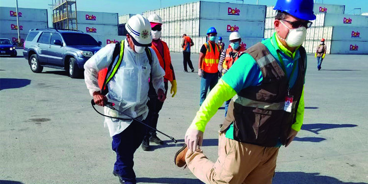 Prosiguen repatriación de marinos hondureños bajo protocolos de COVID-19