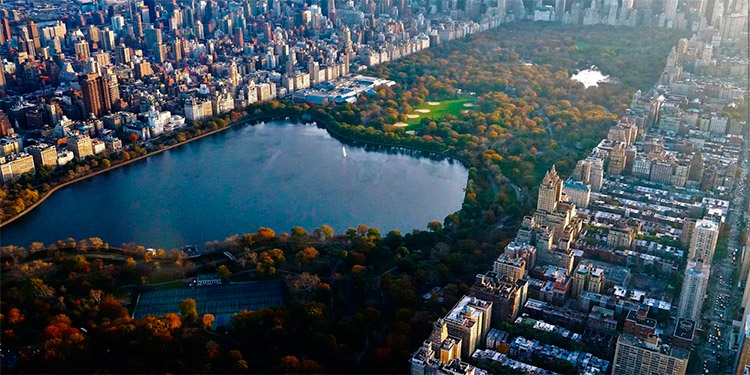 Nueva York contempla entierros temporarios en parques