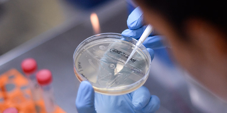Hallan posible tratamiento contra la fiebre aftosa humana
