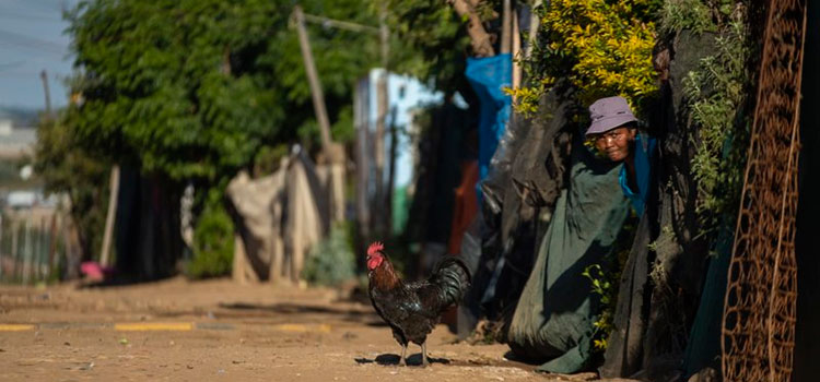 África podría tener 300.000 muertes por coronavirus este año