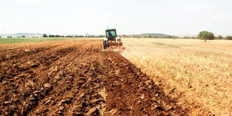 Cepal, ONU y FAO vaticinan que hambruna mundial se intensificará
