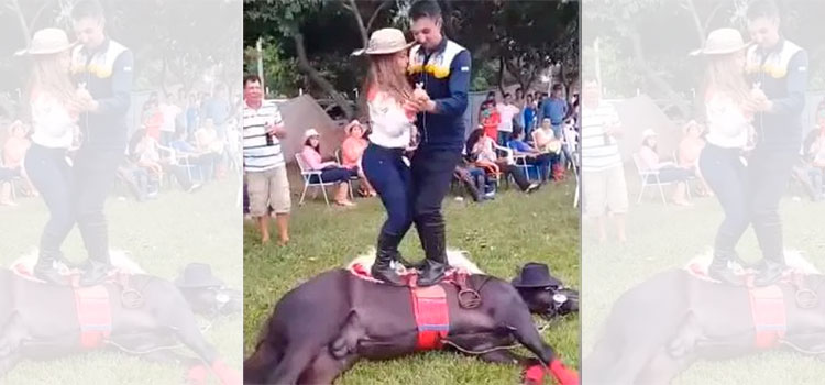 Causa indignación pareja de jóvenes que bailan encima de un caballo