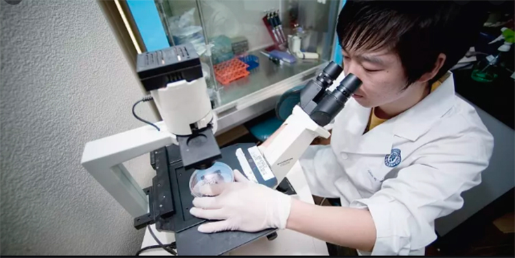 La RAI italiana reveló hace cinco años peligroso desarrollo del coronavirus (V