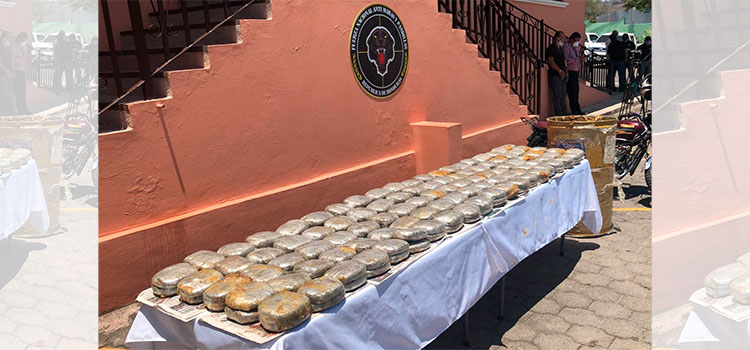 Capturan a dos integrantes de la MS-13 con varios paquetes de marihuana en la capital (Vídeo)
