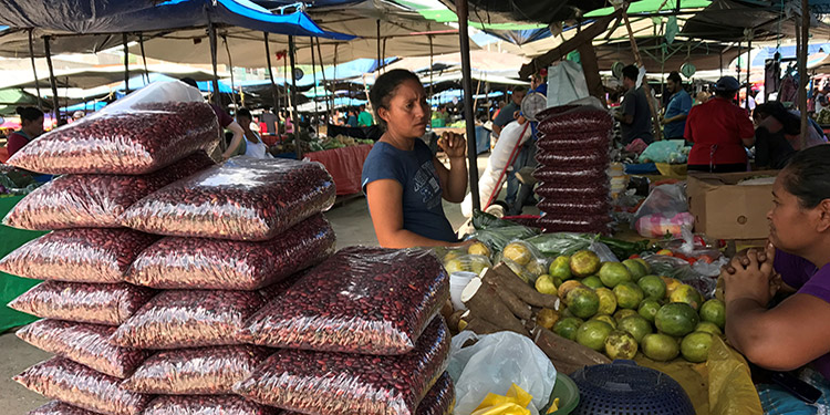 Frijoles del IHMA ofrecen en la Feria del Artesano