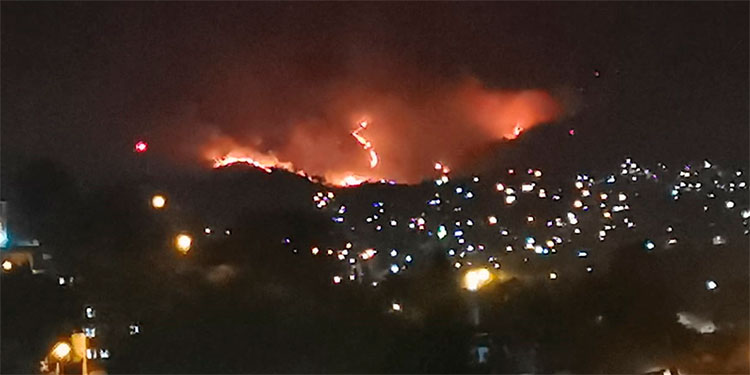 Se incrementan incendios forestales en periferia de Tegucigalpa