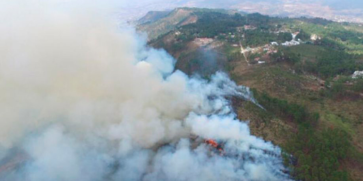 Se registra un incendio forestal en El Chimbo