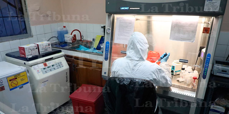 Presidente de microbiólogos dice que no hay mora en pruebas COVID-19