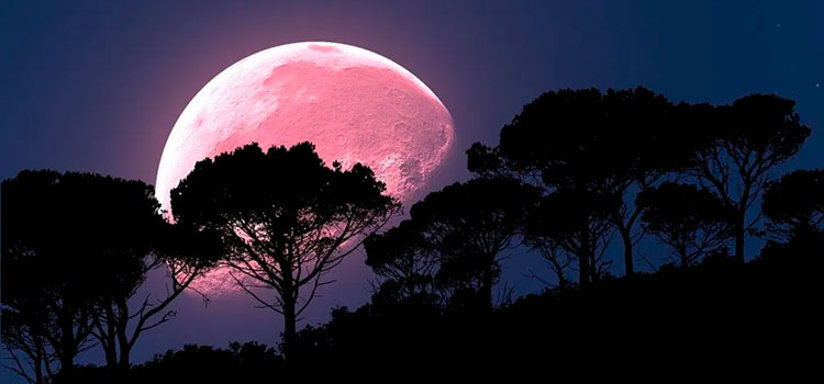 Superluna rosa: Los efectos que tendrá sobre nosotros y cómo aprovechar su poder