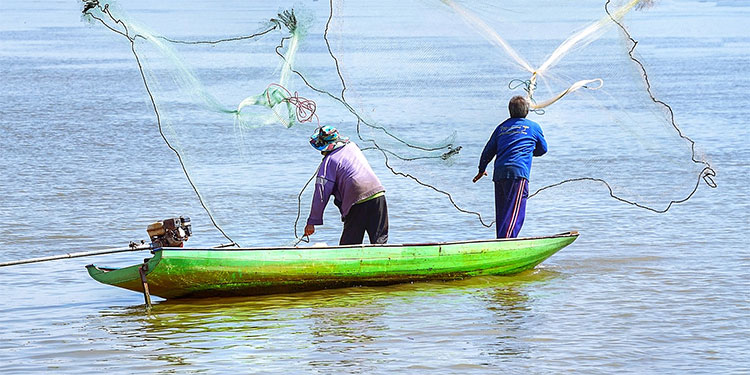 Pescadores artesanales de Honduras pierden 1,4 millones dolares por COVID-19