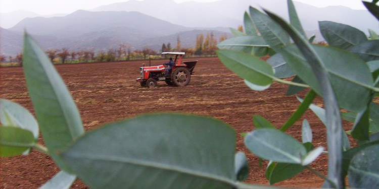 Presidente Hernández: Productores reciben préstamos de ‘Agrocrédito 8.7.’ (Video)