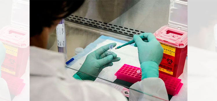 ¿Cómo funciona la vacuna contra el COVID-19 que podría estar lista en agosto?