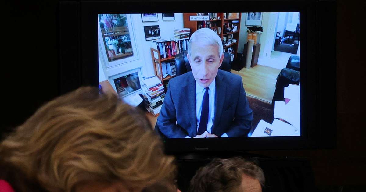 Experto médico: EE.UU. se expone a nuevos brotes por una desescalada imprudente