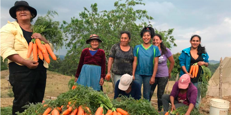 Banhprovi sigue apoyando el agro en el marco de la reactivación productiva