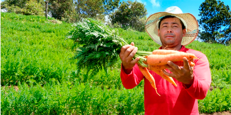 Banhprovi sigue apoyando el agro en el marco de la reactivación productiva