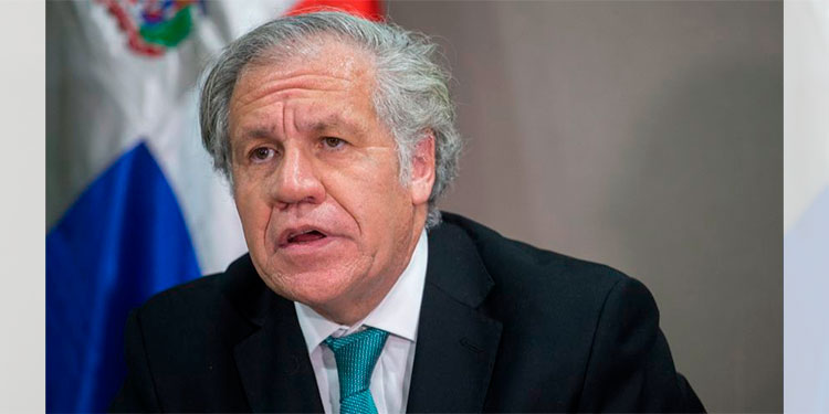 Almagro asume su segundo mandato en la OEA con promesas frente a la pandemia