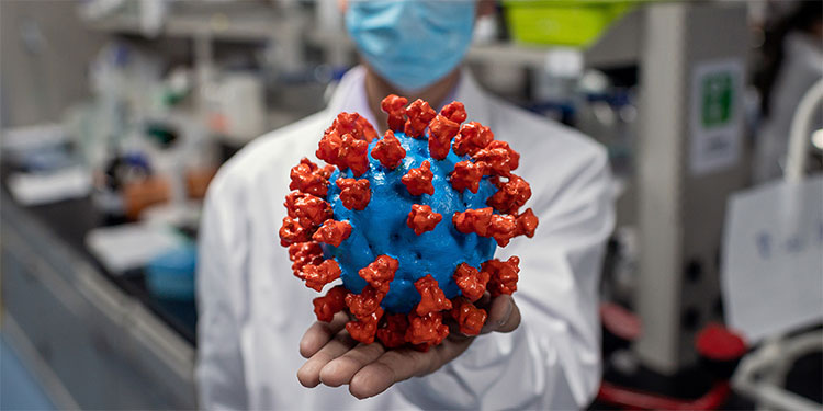 El nuevo coronavirus es de origen natural, según la OMS