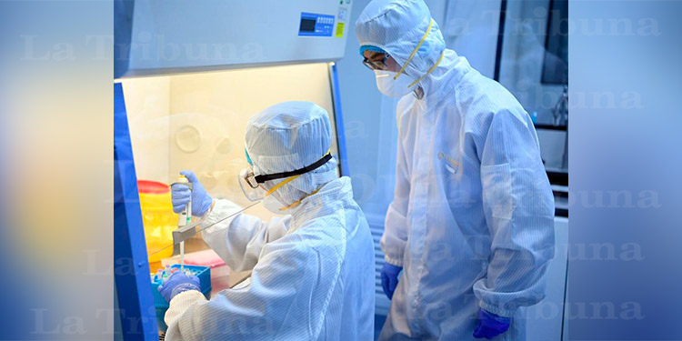 Virología tiene capacidad para procesar 3 mil pruebas PCR diarias