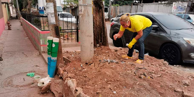 Dejan veneno y vidrio molido en comedores para perros en colonia Hato de Enmedio 