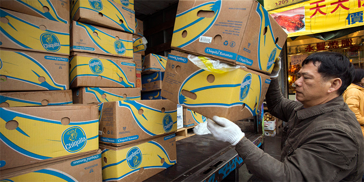 Chiquita Banana deja Puerto Cortés, ahora exportará desde Guatemala