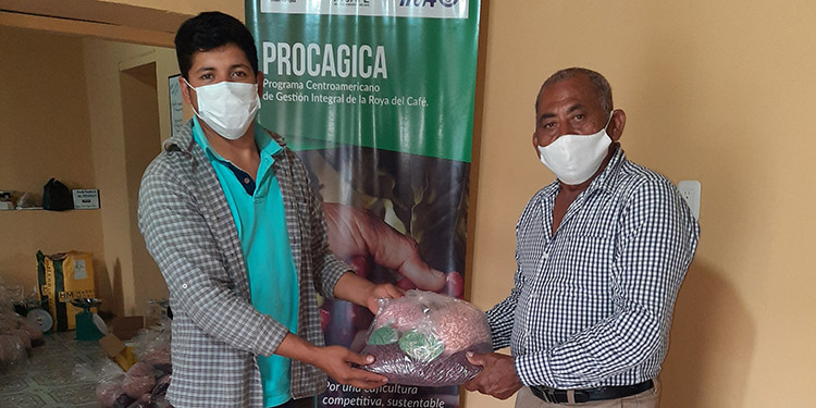 Unión Europea e IICA: Fomentan diversificación de cultivos en fincas cafetaleras