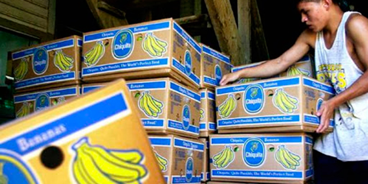 Golpe económico: Chiquita Brands "se muda" de Honduras a Guatemala