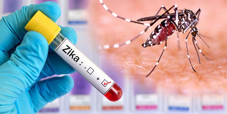 Nueva cepa de zika
