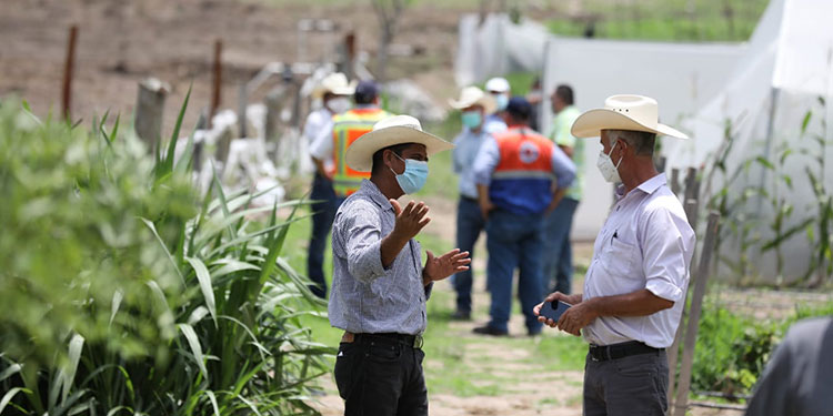 Un 70% de agricultores ya sembraron sus milpas