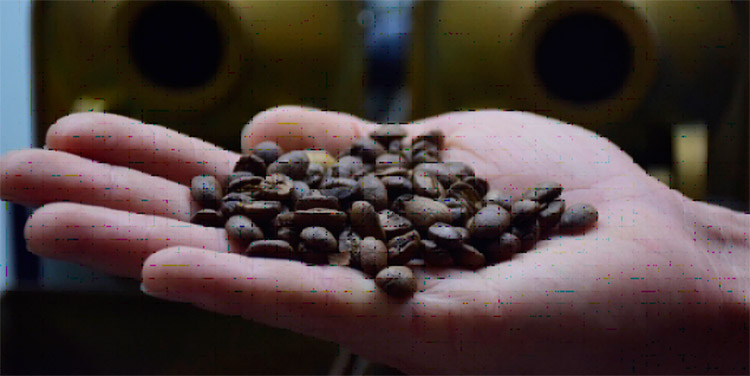 Avanza organización de la Primera Subasta Electrónica de Cafés Especiales