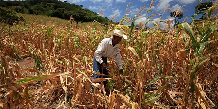 Copeco advierte “Canícula” corta e invierno copioso