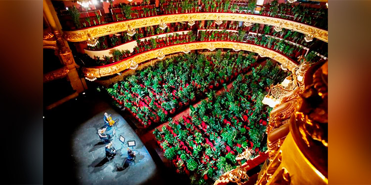Teatro Liceu reanuda actividades con un concierto ante 2,292 plantas