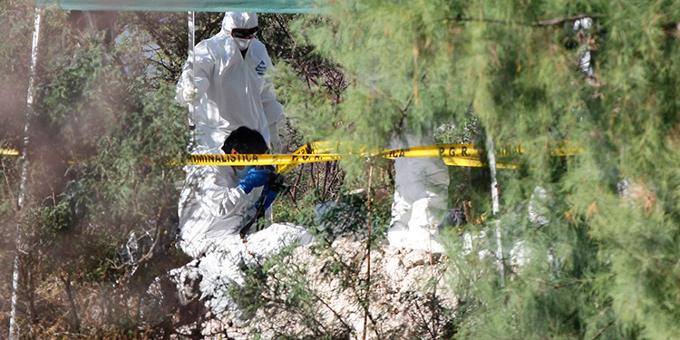 Localizan doce cuerpos en una fosa del estado mexicano de Chihuahua