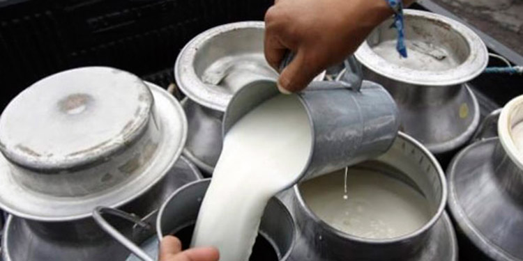 Precios bajos por litro paga la industria láctea artesanal