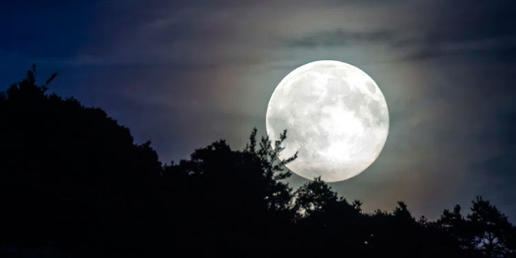 La luna de fresa que será visible desde cualquier lugar este fin de semanaLa luna de fresa que sera visible desde cualquier lugar este fin de semana