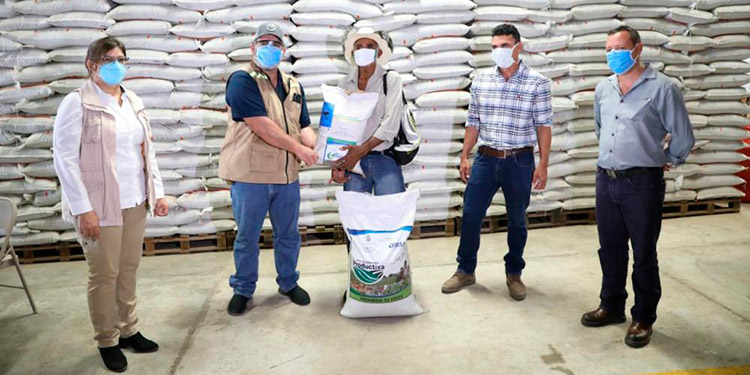 Con asistencia técnica del IICA Desarrollan exitosa estrategia de apoyo al agro