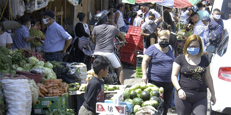 43 municipios de Honduras no reportan casos de COVID-19