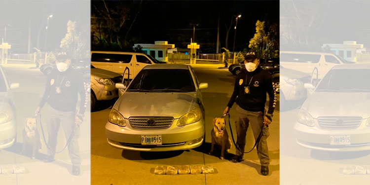 Prisión preventiva y sobreseimiento provisional a pareja que transportaba L2.5 millones de lempiras