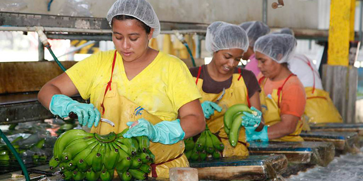 Dialogarán con ejecutivos de la Chiquita Brands