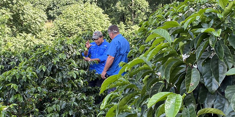 Clientes Satisfechos: Cosechando historias exitosas con sabor a café